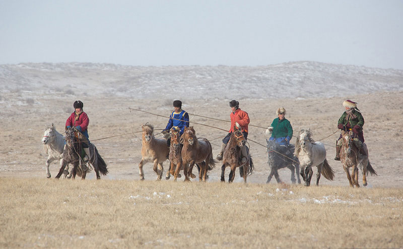 horse festival mongolia 